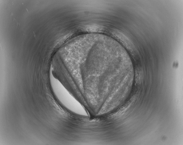 X0000093730453200711131042