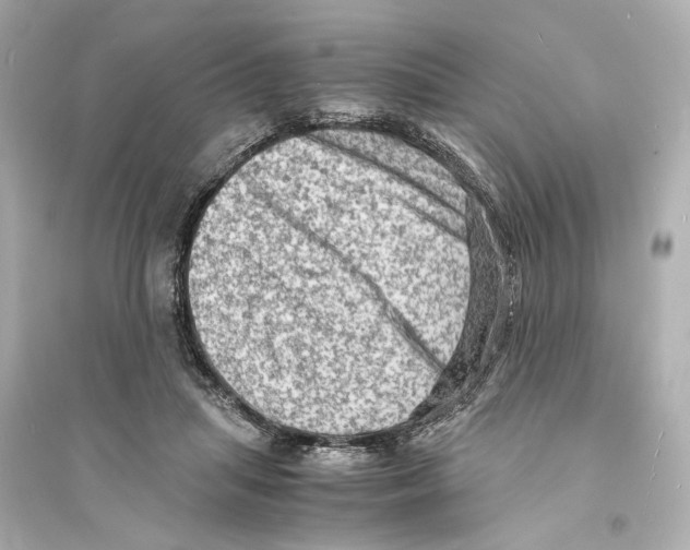 X0000093730455200711131042