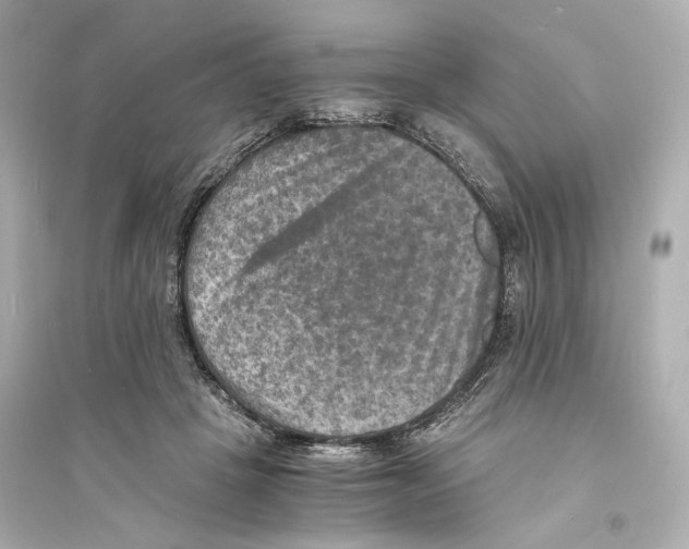 X0000093730457200711131042