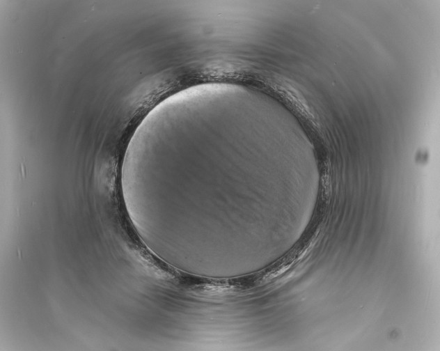 X0000093730458200711131042