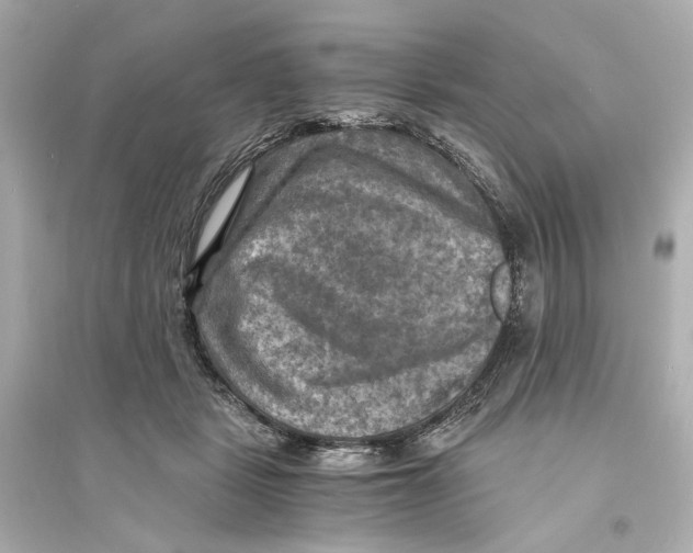 X0000093730461200711131042