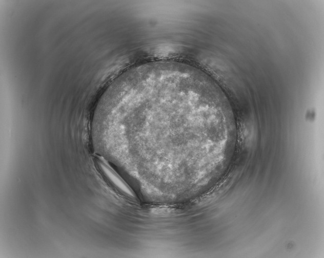 X0000093730470200711131042