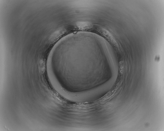 X0000093730471200711131042