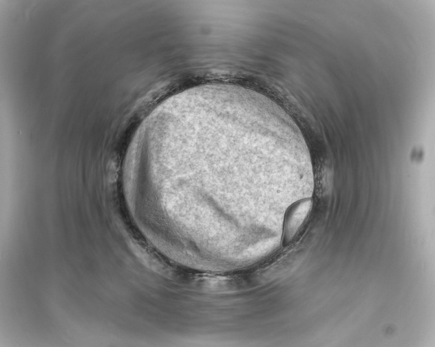X0000093730472200711131042