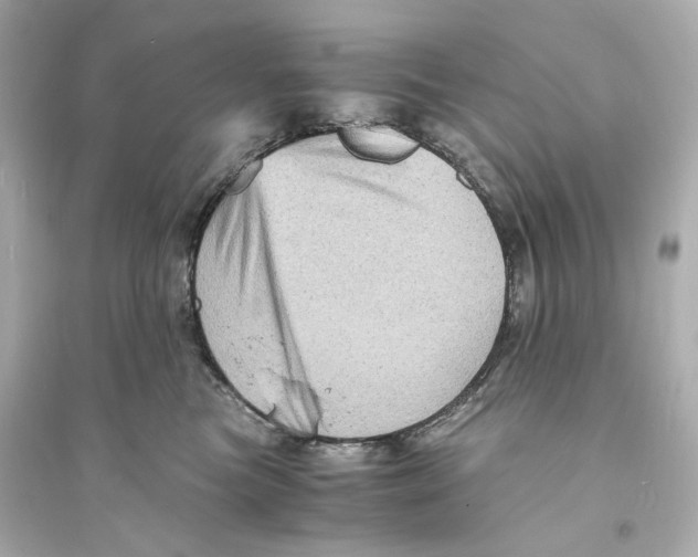 X0000093730473200711131042