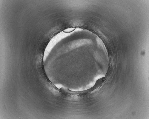 X0000093730475200711131042