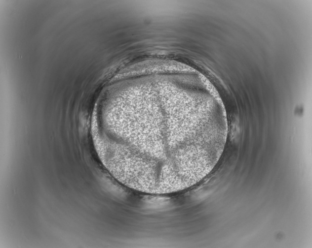 X0000093730476200711131042