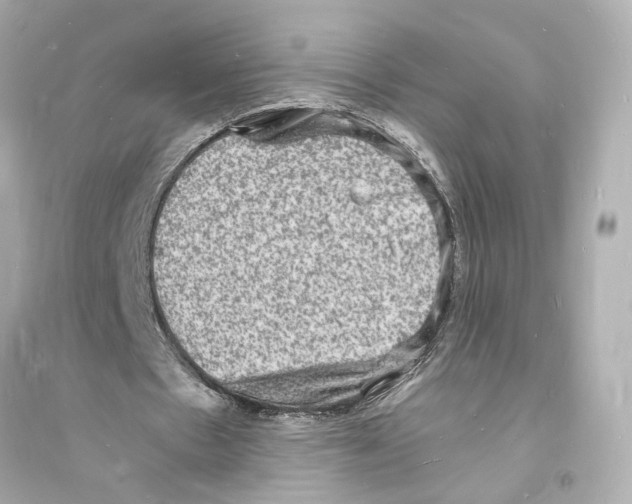 X0000093730481200711131042