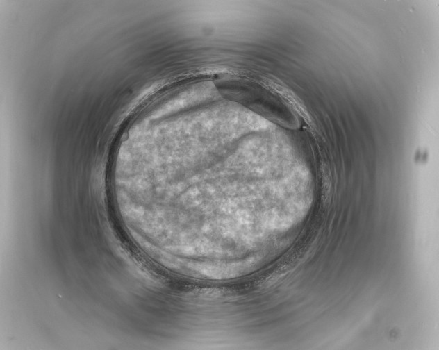 X0000093730482200711131042