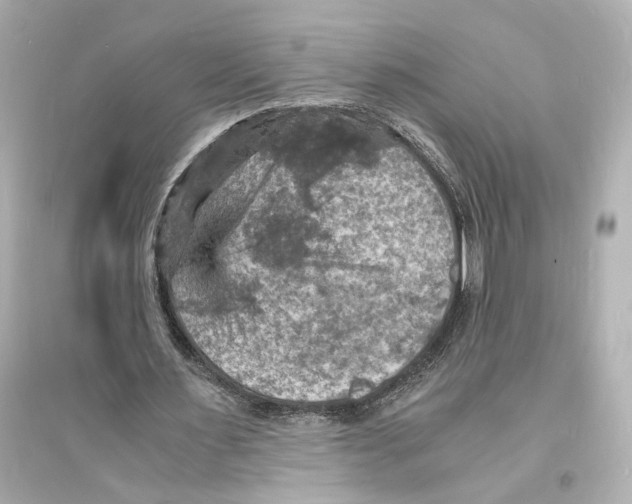 X0000093730483200711131042