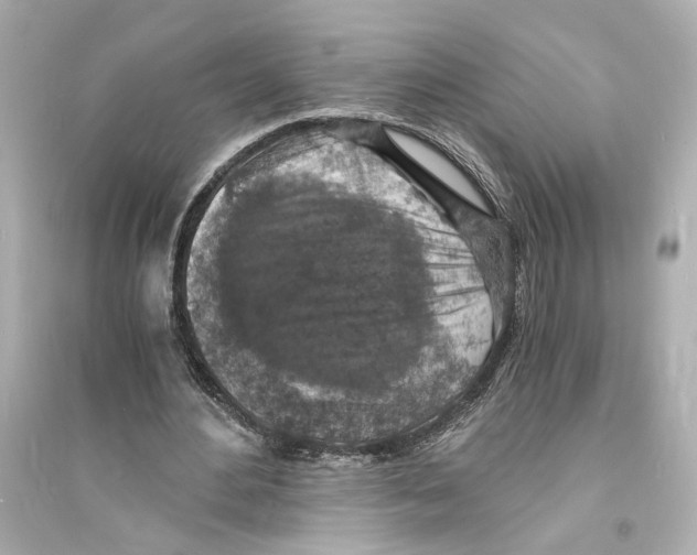 X0000093730484200711131042