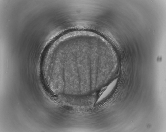 X0000093730488200711131041
