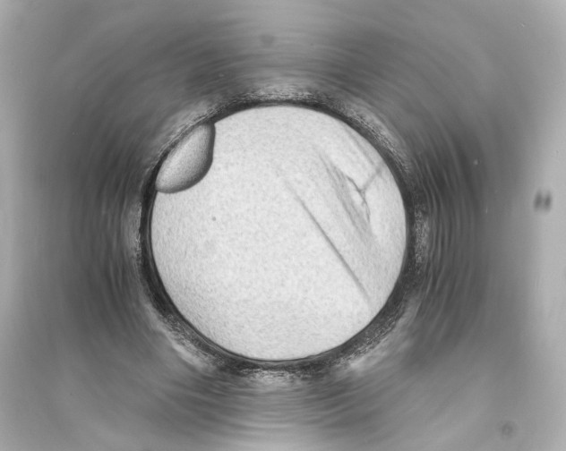 X0000093730490200711131041