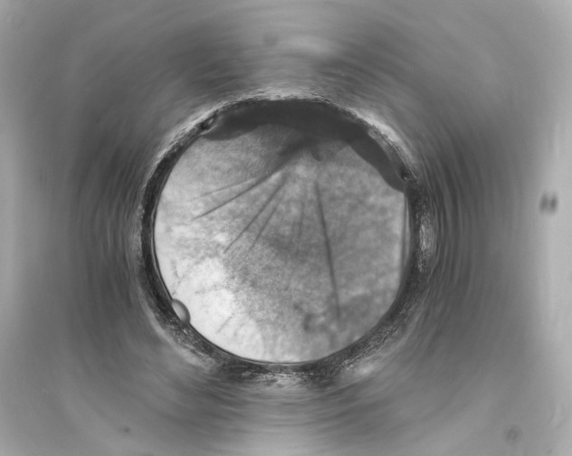 X0000093730492200711131041