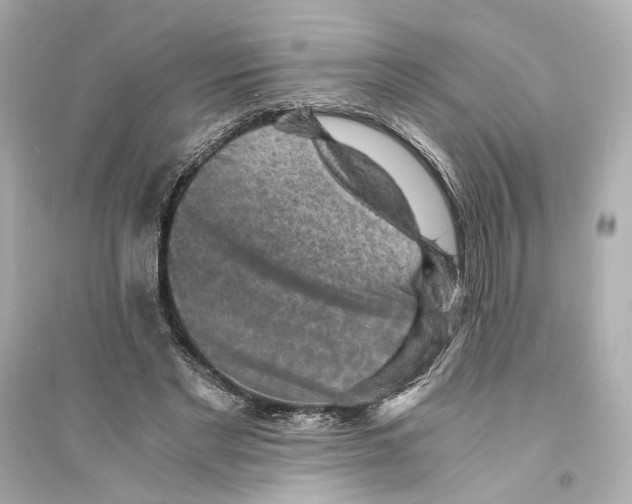 X0000093730493200711131041