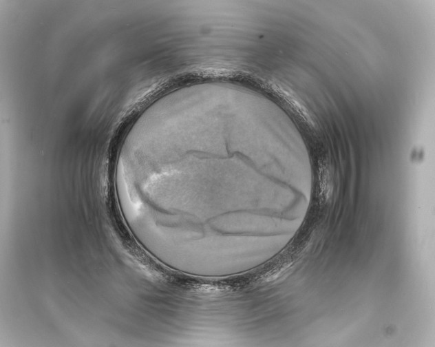 X0000093730494200711131041