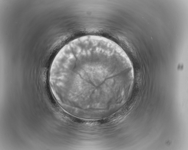 X0000093730495200711131041
