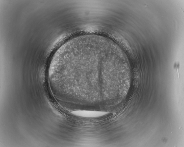 X0000093730496200711131041