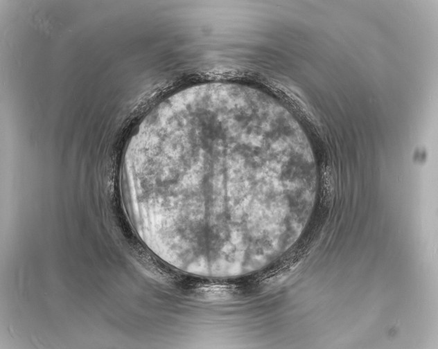 X0000093730499200711131041