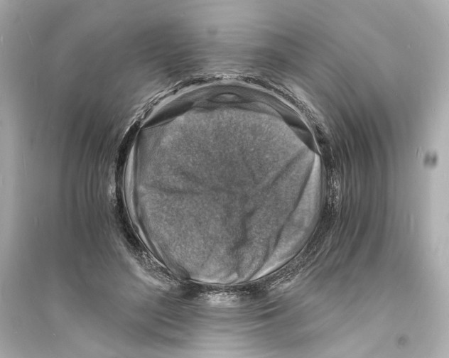 X0000093730500200711131041