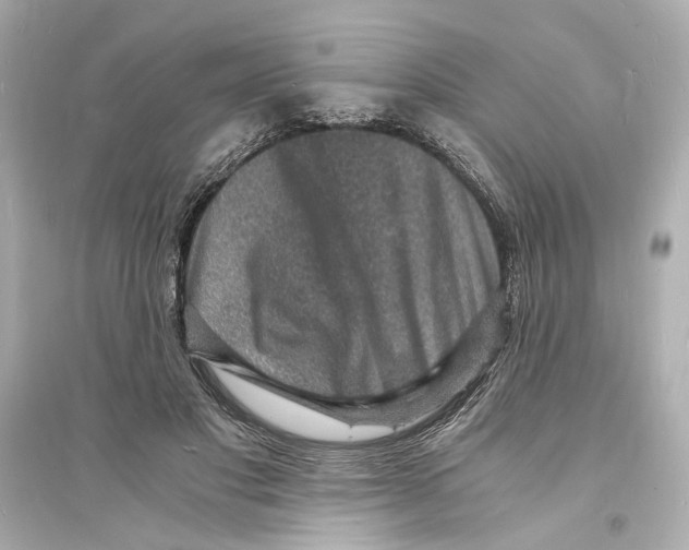 X0000093730501200711131041