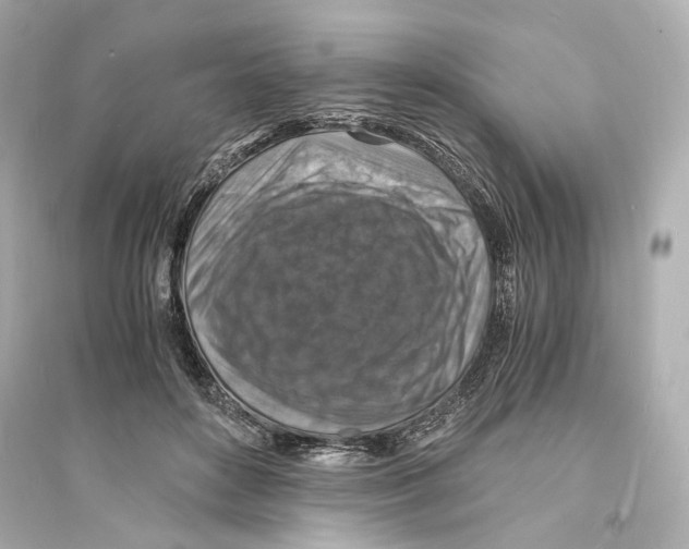 X0000093730504200711131041