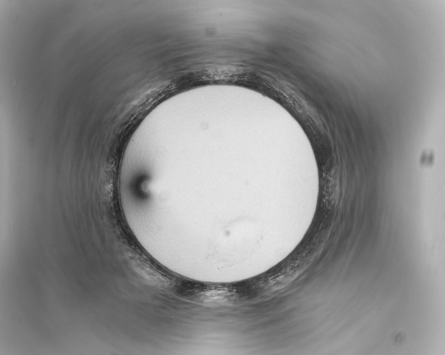 X0000093730505200711131041