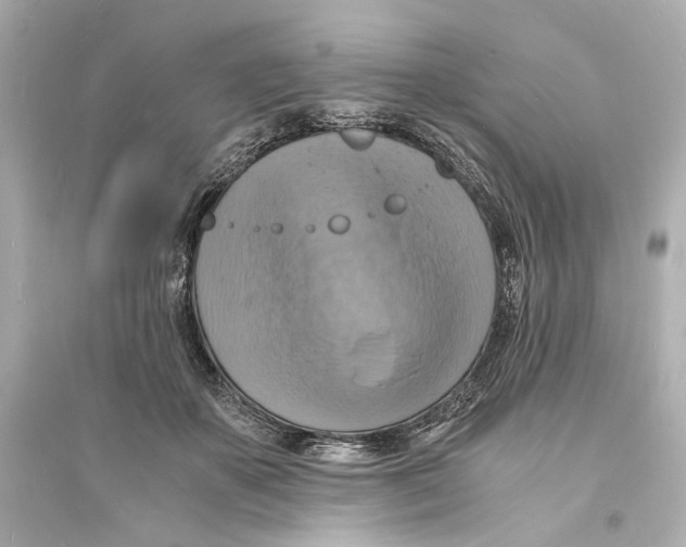 X0000093730507200711131041