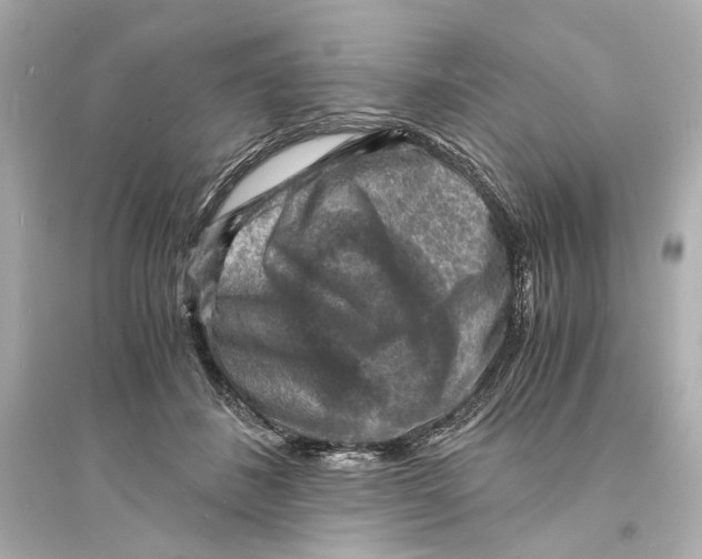 X0000093730508200711131041