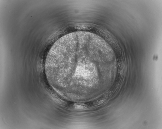 X0000093730510200711131041