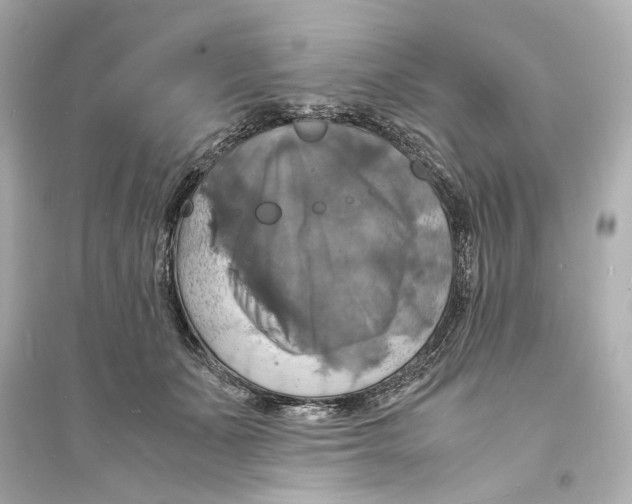 X0000093730511200711131041