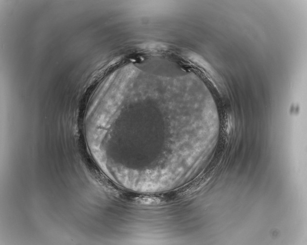 X0000093730512200711131041