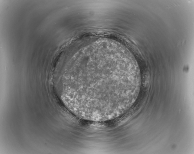 X0000093730515200711131041