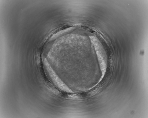X0000093730516200711131041