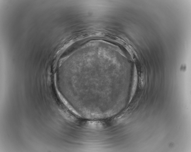 X0000093730520200711131041