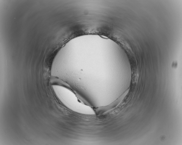 X0000093730521200711131041