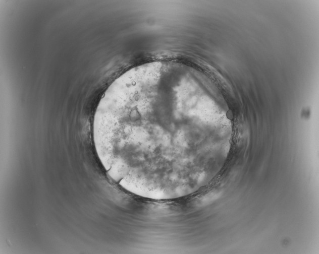 X0000093730523200711131041