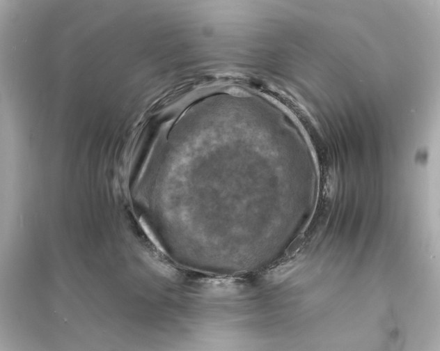 X0000093730524200711131041