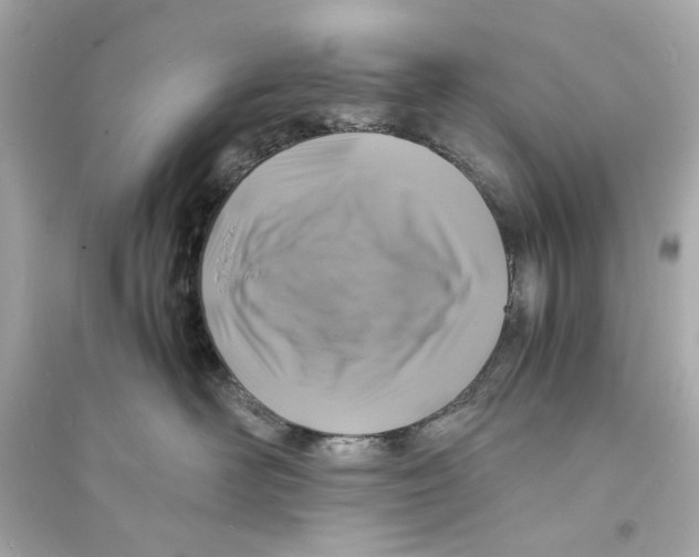 X0000093730526200711131041