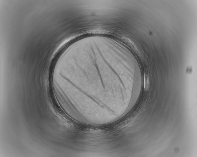 X0000093730531200711131040