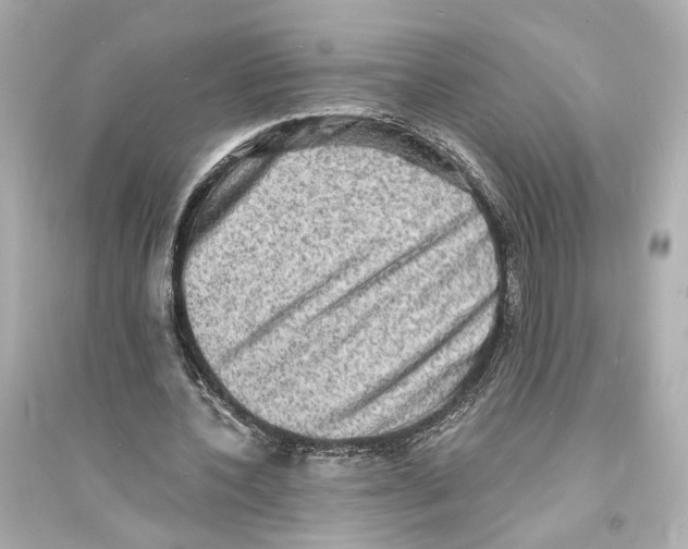 X0000093730532200711131040