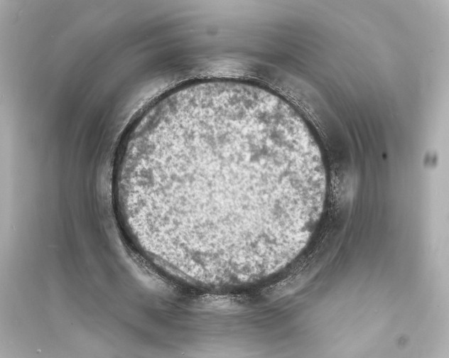 X0000093730534200711131040