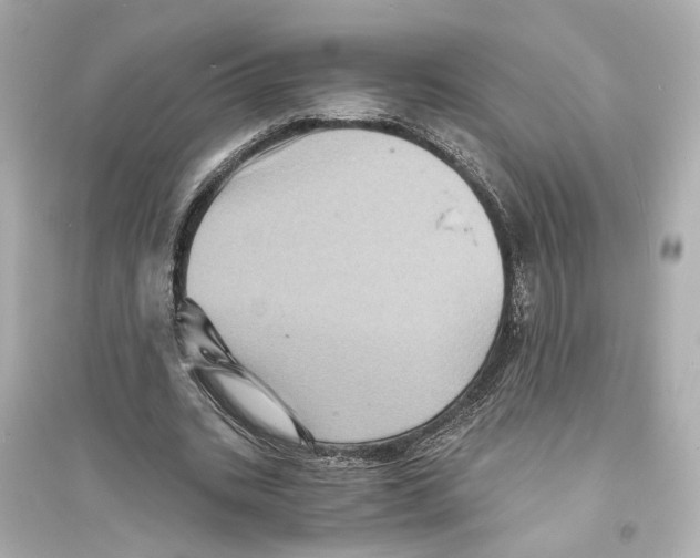 X0000093730535200711131040