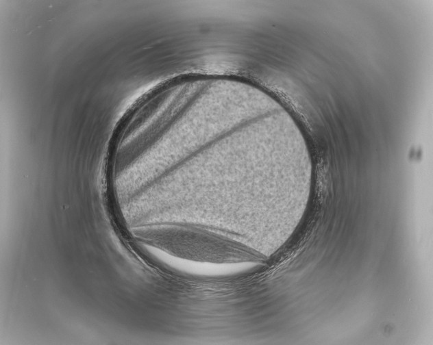 X0000093730536200711131040