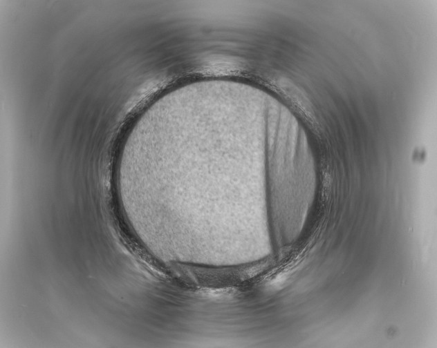 X0000093730539200711131040