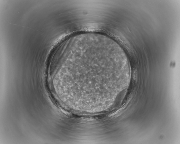 X0000093730540200711131040