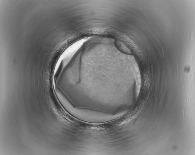 X0000093730542200711131040