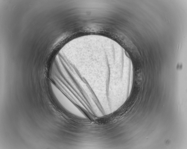 X0000093730544200711131040