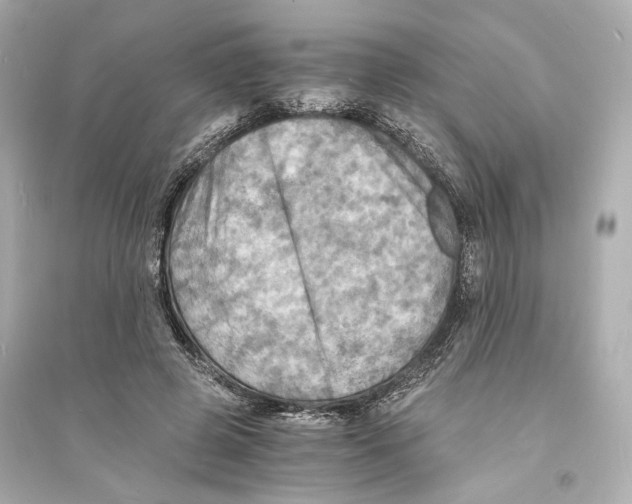 X0000093730545200711131040