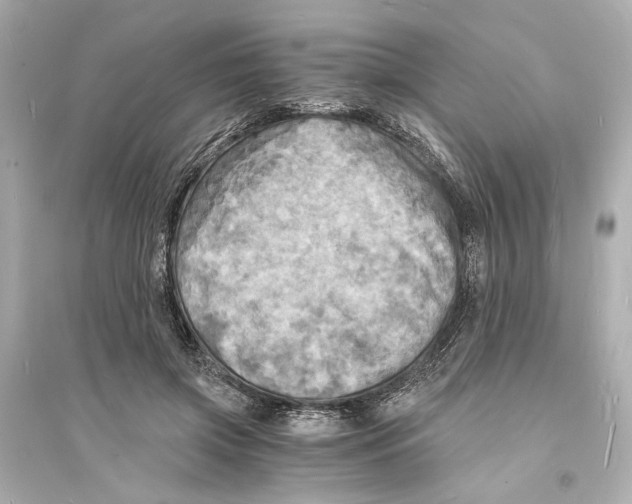 X0000093730549200711131040